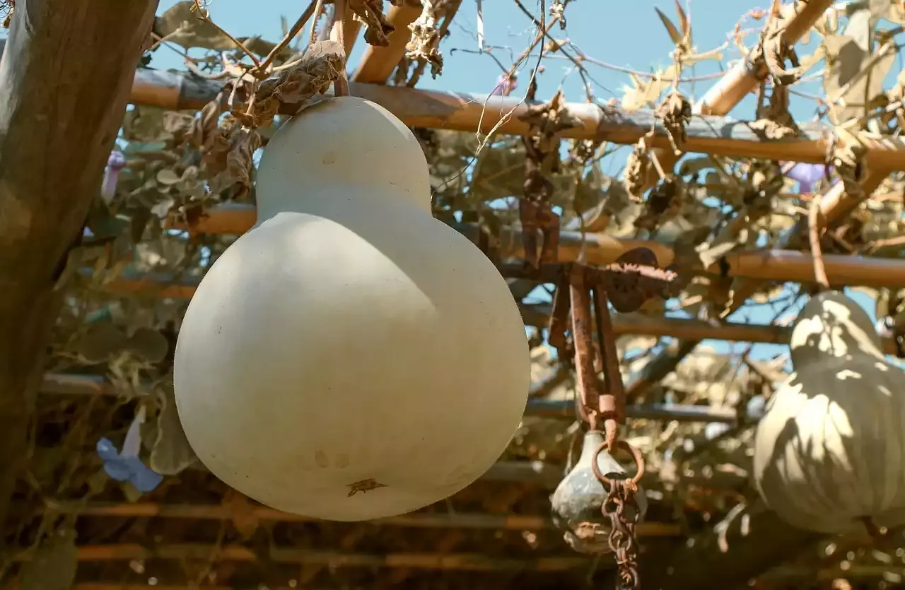 5 תלבושות כדי להדגיש את הקימורים שלך אם אתה בצורת אגס